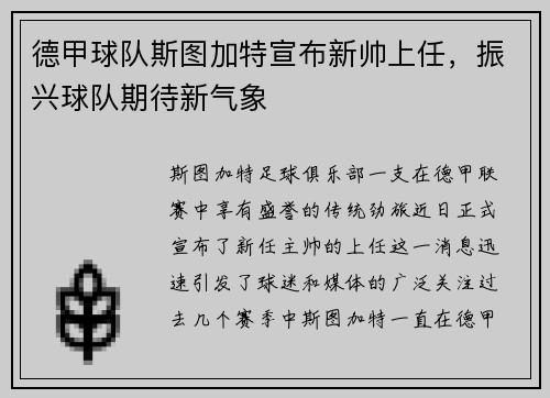 德甲球队斯图加特宣布新帅上任，振兴球队期待新气象